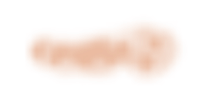 brush_orange